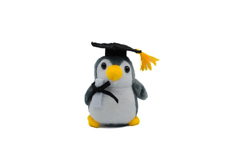 10 CM MEZUNİYET PENGUEN (12ADET)